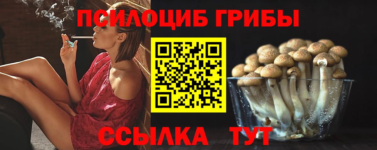 Владивосток  Галлюциногенные грибы ЛСД  Вход с VPN 